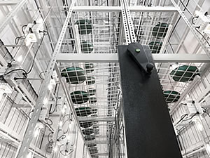 Modular Grow Rooms